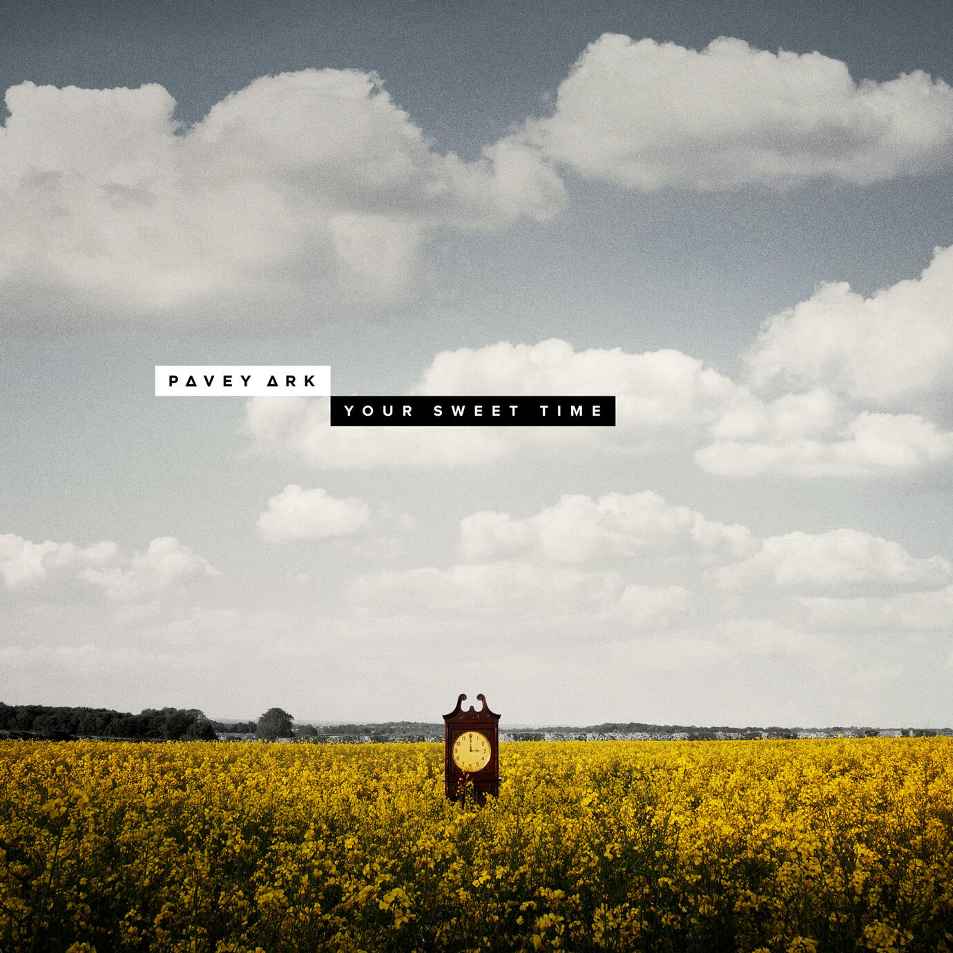 Your Sweet Time single artwork